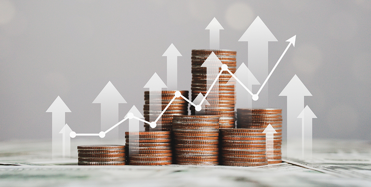 Comparativo: Invertir con poco presupuesto vs. +100 mil pesos con Rhino   